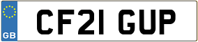 Truck License Plate